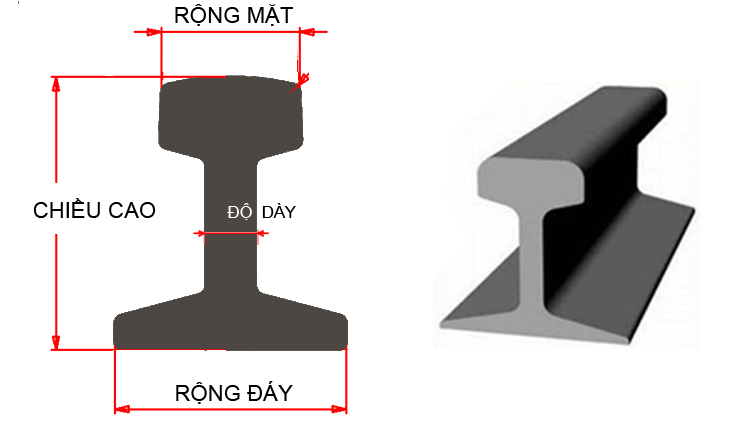 MAT CAT RAY