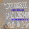THEP TAM S45C