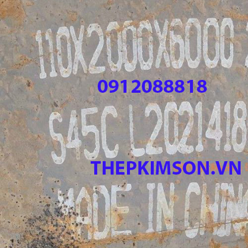 THEP TAM S45C